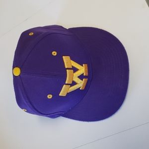 Nike True Washington Huskies Hat